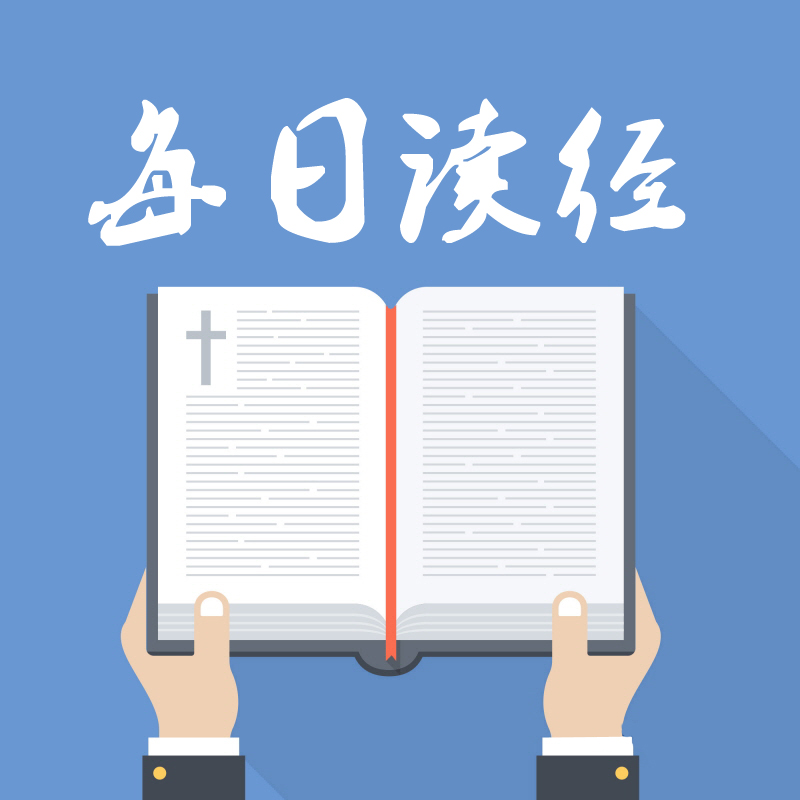 每日读经
