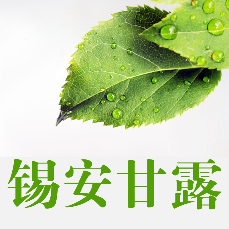 锡安甘露